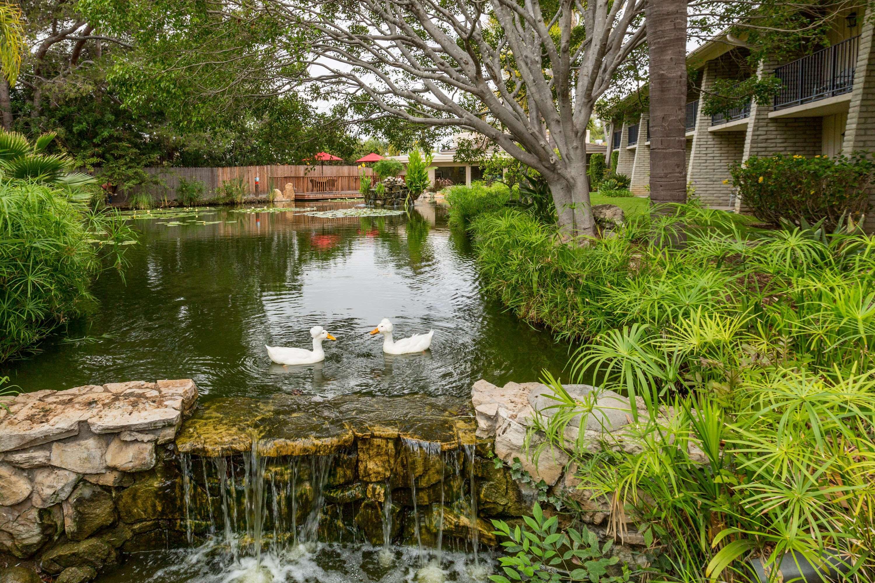 Hotel Ramada By Wyndham Santa Barbara